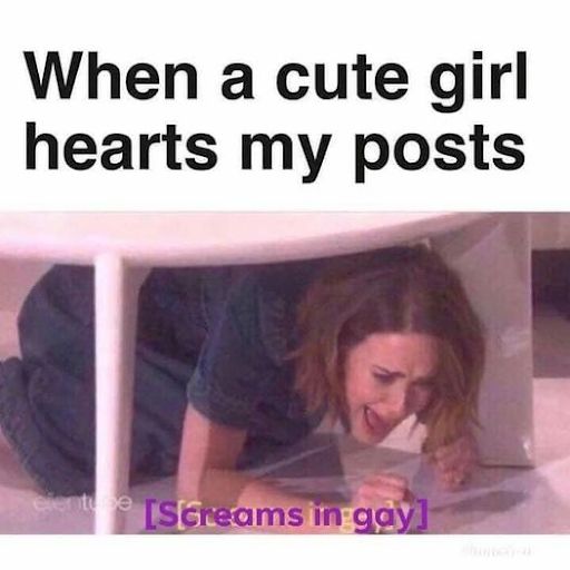 When a cute girl hearts my posts [Screams in gay]