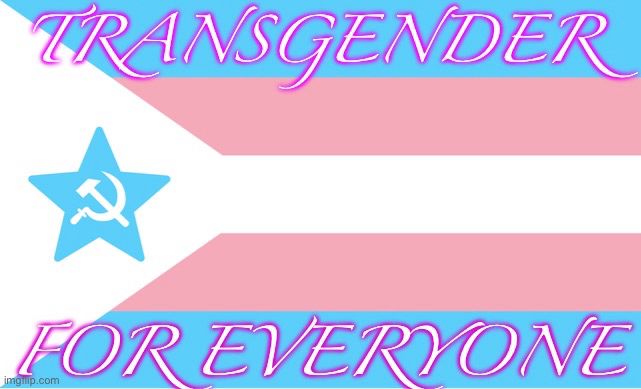 A Trans flag except the is a blue star with a white halter And sickle on the left side of the flag. Text reads : Transgender for everyone