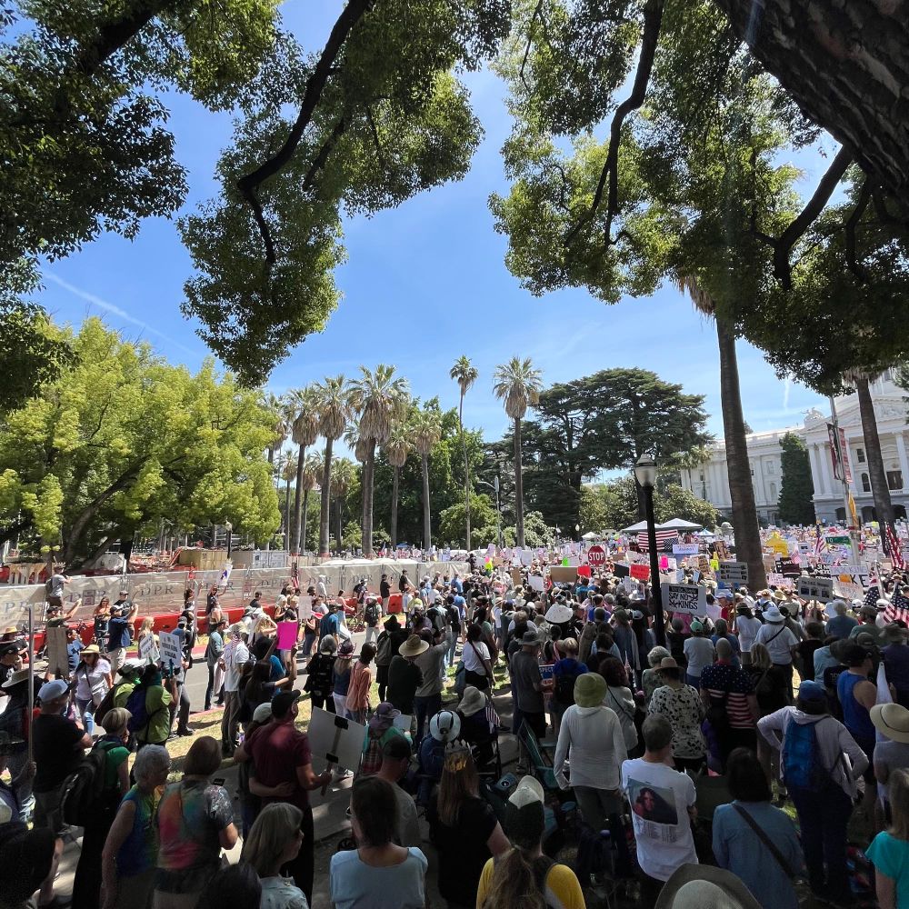 Sacramento Capital filled with protesters on for NO KINGS rally! 