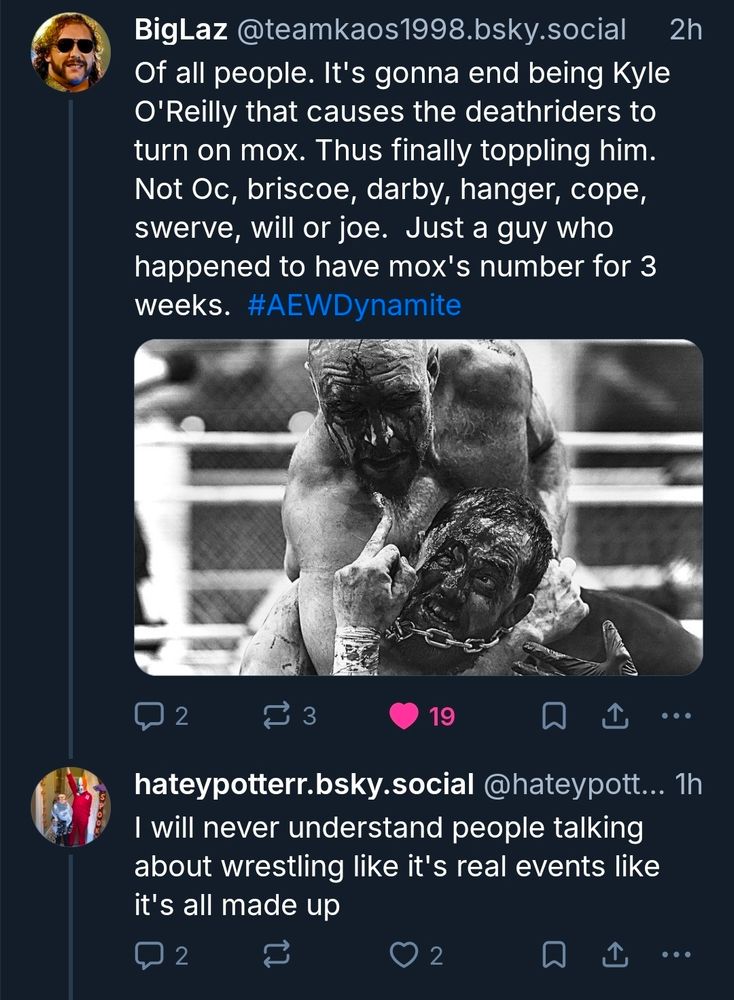 A Bluesky user responds to an AEW fanpost: "I will never understand people talking about wrestling like it's real events like it's all made up"