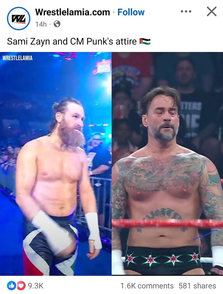 Wrestlelamia posts on Facebook pictures of Sami Zayn and CM Punk's attire from Saturday Night's Main Event, which include black, red, white, and green notes, presumably in support of Palestine.
