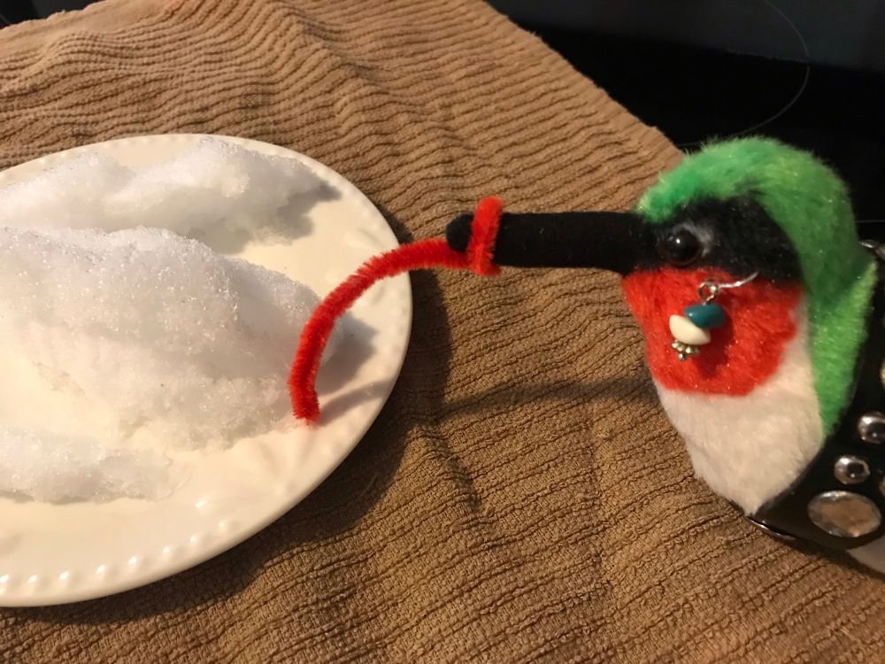 Jimmingbird is licking the snow with their long red tongue. 
