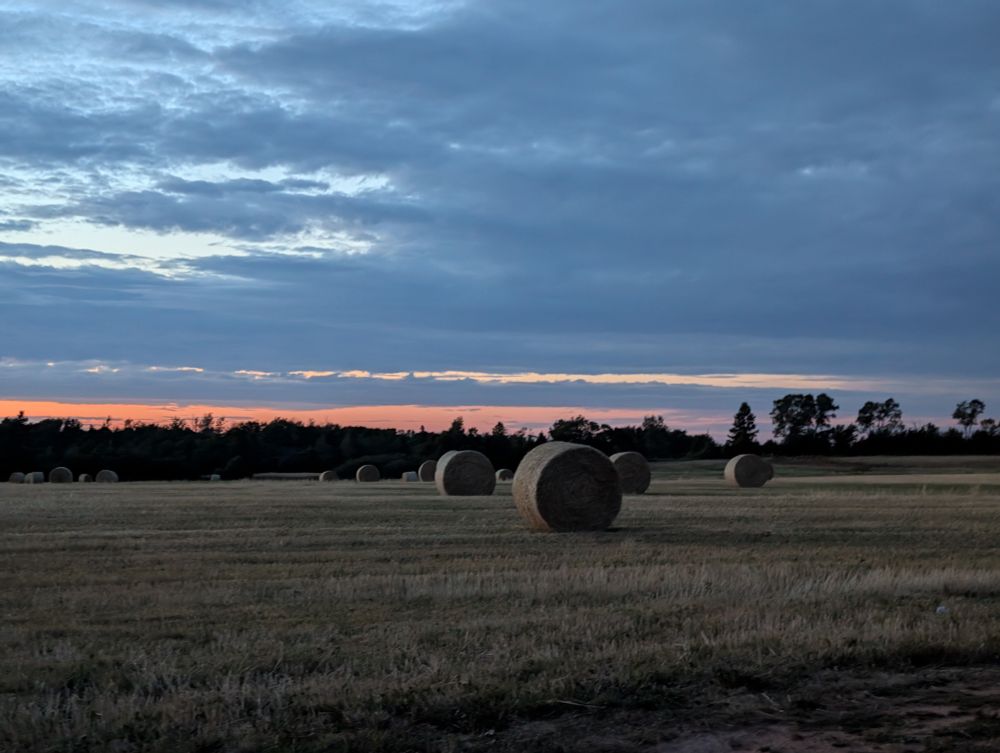 Round hay bales in a field at sunset with clouds.