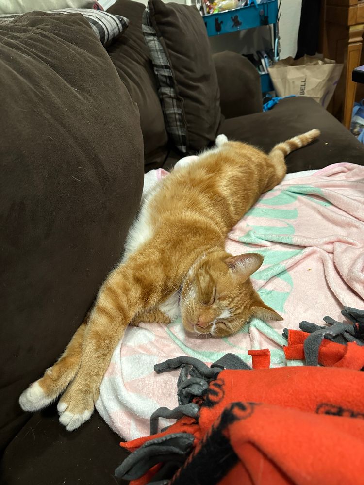 An orange boi cat is stretched out along a brown couch on top of a soft pink blanket 