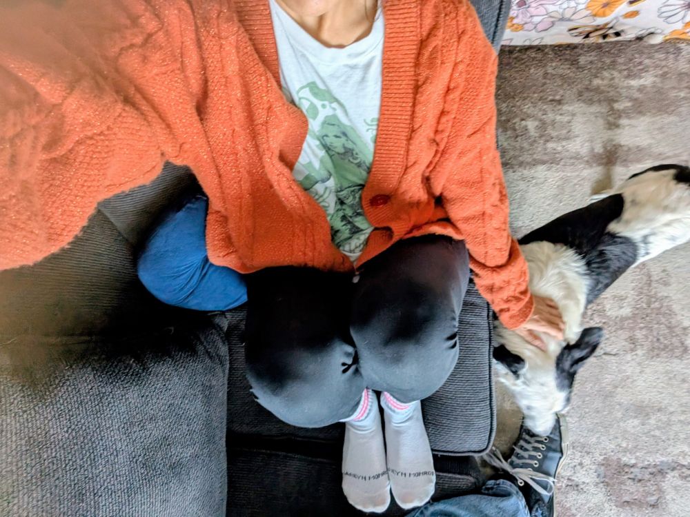 Top view selfie of me from the neck down sitting on a dark grey couch wearing an orange sparkly cardigan, a white t shirt with a green colorized graphic of Taylor Swift from her debut album on it, black leggings, and white socks. There's a black and white dog by my right and the dog is sniffing a foot wearing a blue and white shoe.