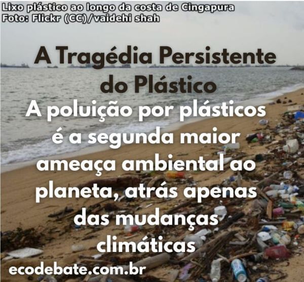 Imagem: Praia poluída por plásticos.
Texto: A tragédia persistente do plástico
A poluição por plásticos é a segunda maior ameaça ambiental ao planeta, atrás apenas das mudanças climáticas.
