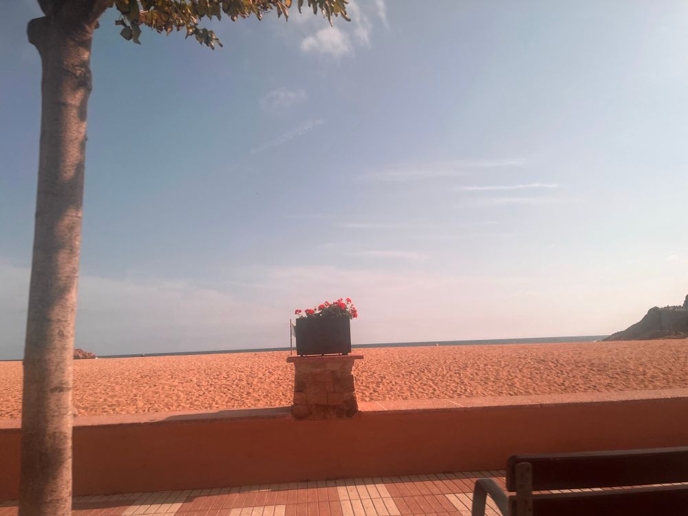 Photo of a beachfront with a flower pot at the forefront in the middle. Crisp lines horizontal, of the branch. Sand. Sea and sky 