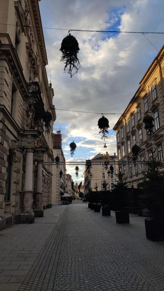 Umgedreht aufgehängte Weihnachtsbäume in der Schmiedgasse in Graz