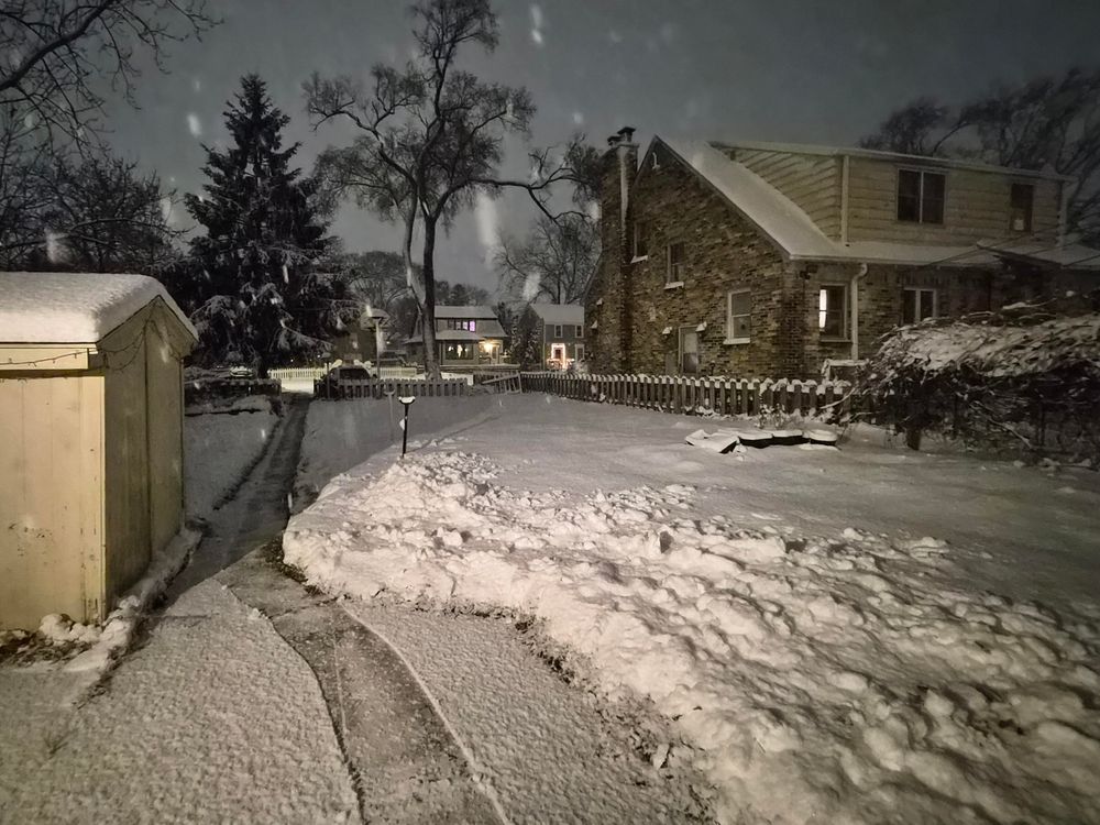 A very snowy front garden