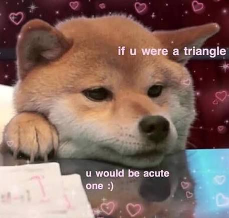 a dog resting its face on a table and it says if you were a triangle you’d be acute one 