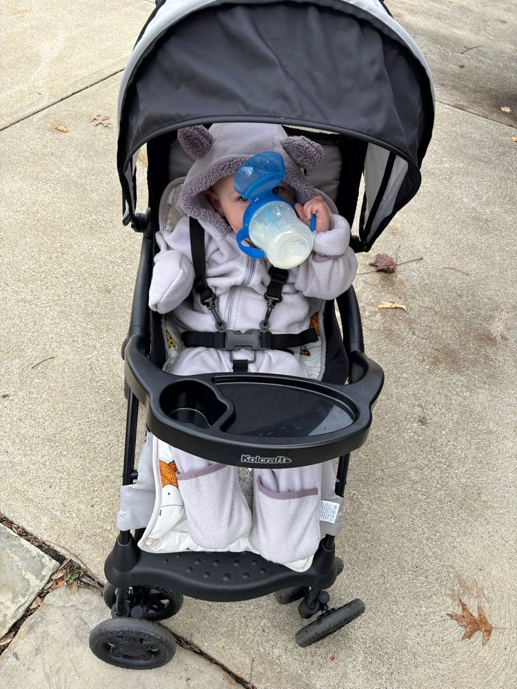 a baby in a stroller