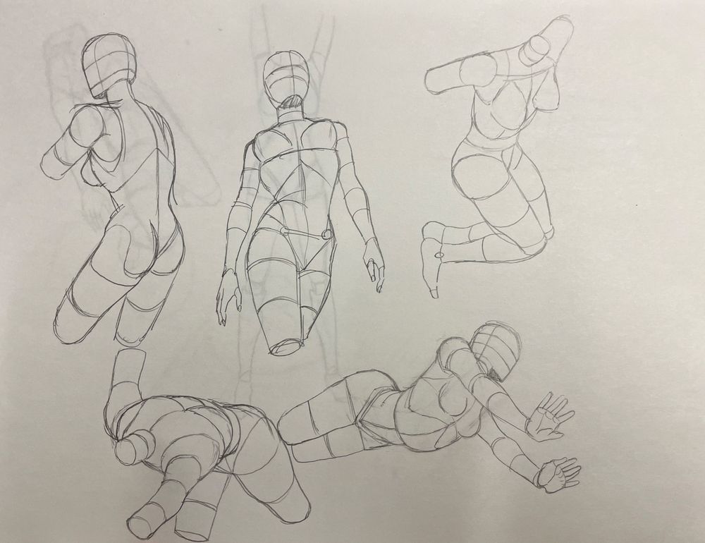 いろいろな動きをした女性の身体のドローイング