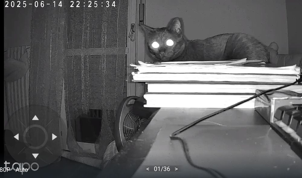 My cat on the other side of the desk, loafing on a bunch of books and next to a pile of rulebooks. 