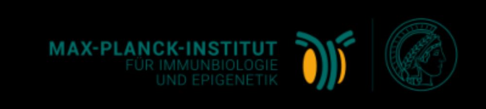 Postdoctoral Position (m/f/div)