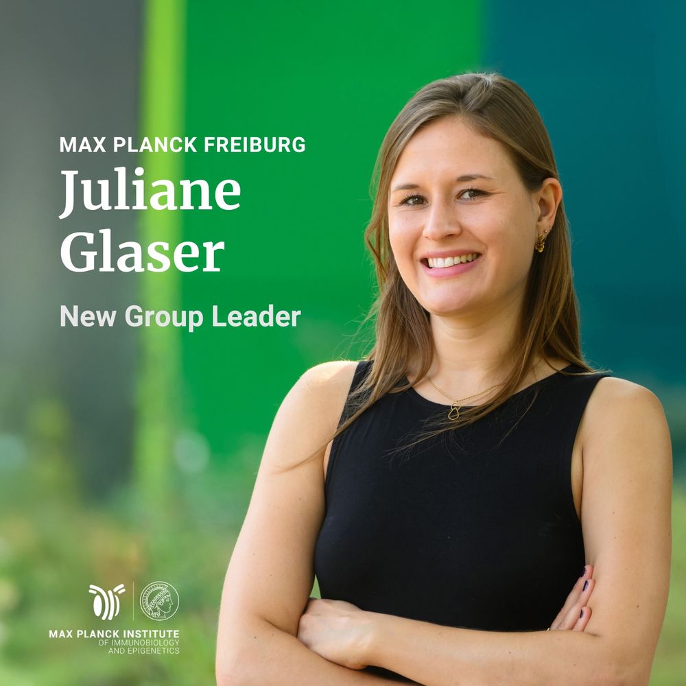 Portrait photo of Dr. Juliane Glaser