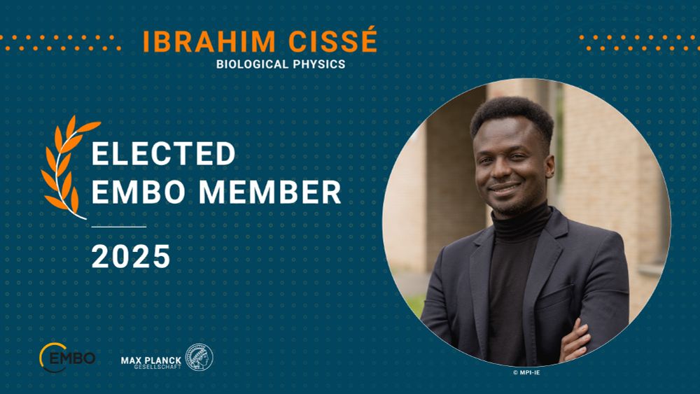 Share pic with a portrait of Ibrahim Cissé.