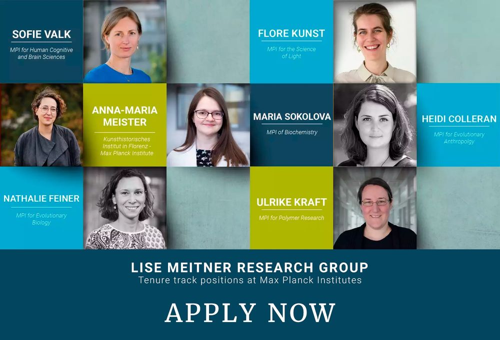 Pictures of Lise Meitner Group leaders: Sofie Valk, Flore Kunst, Anna-Maria Meister, Maria Sokolova, Heidi Colleran, Nathalie Feiner und Ulrike Kraft.