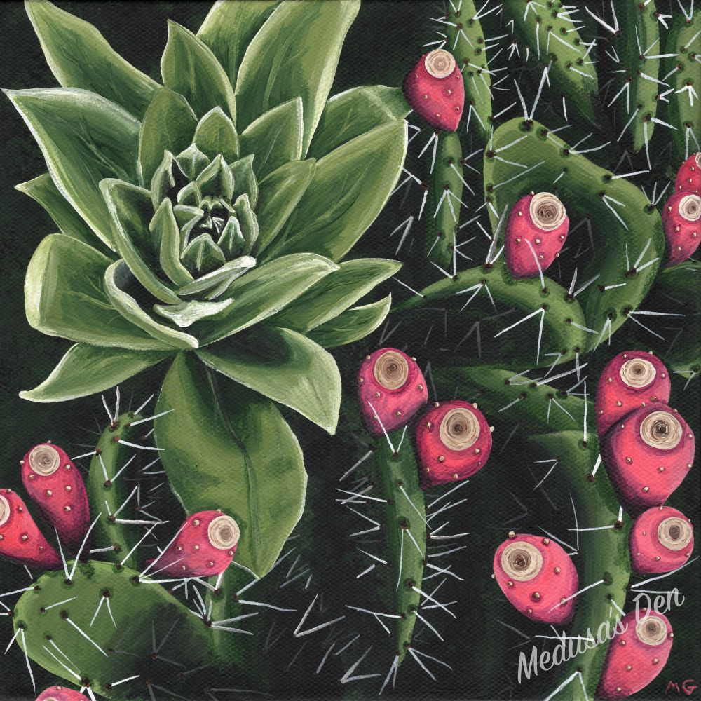 Painting of a succulent and prickly pear cactus 