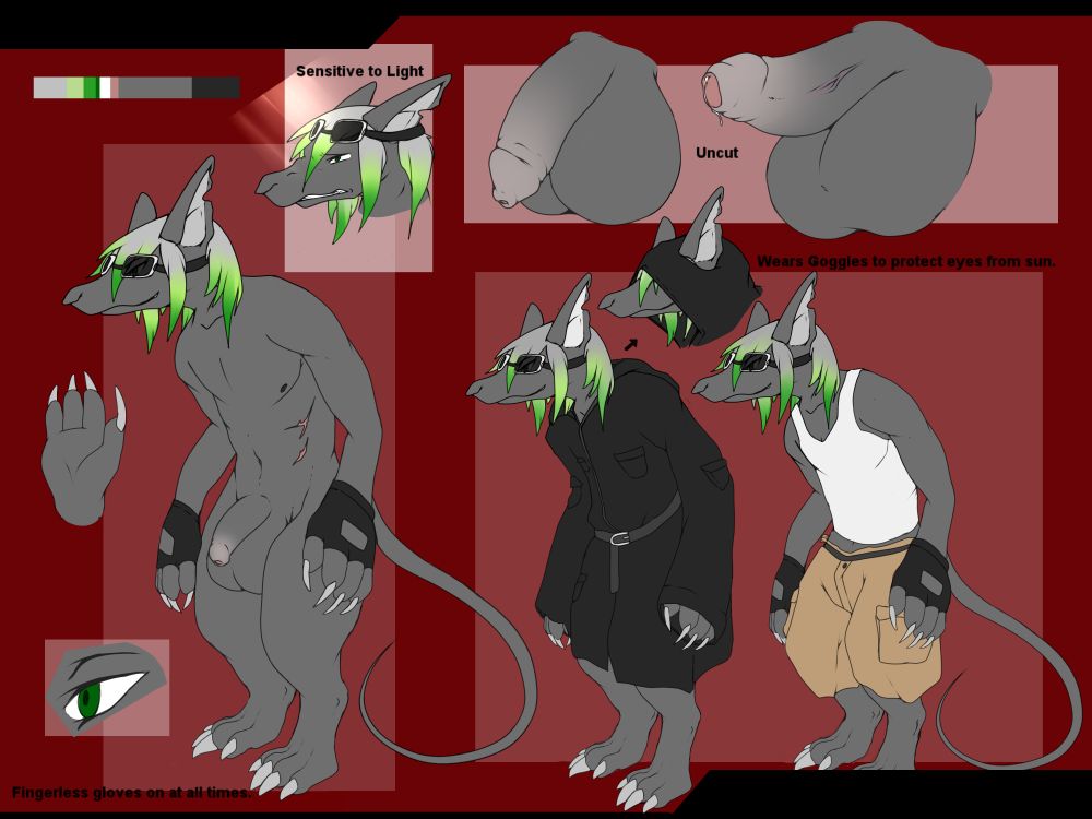 A reference sheet for a burmecian (An anthropomorphic rat species from Final Fantasy 9) original character.