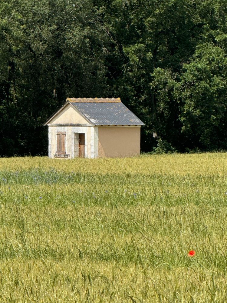 French vineyard-worker's shelter