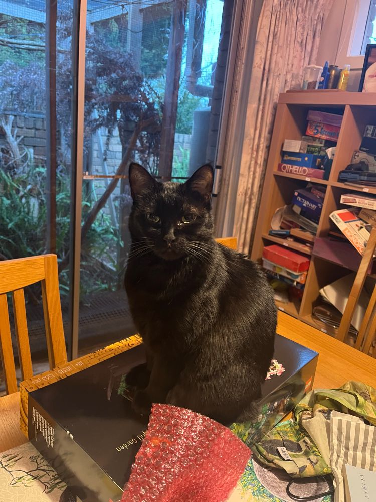 small black cat, sitting upright on a box of lego on a table. She is staring intently at the camera and clearly judging you. 