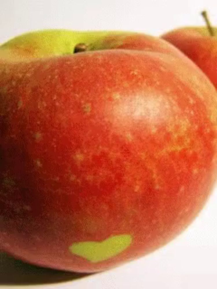 a red apple with a green heart shaped spot on it