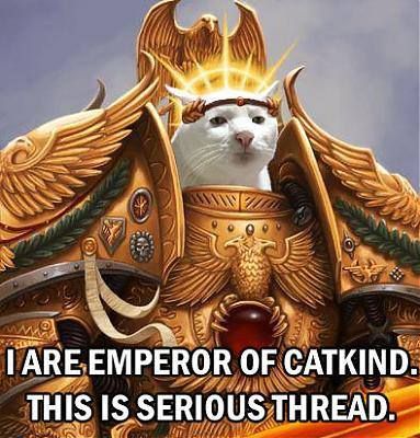 Meme of cat in gold armor, with caption "I are emperor of cat kind, this is serious thread" 