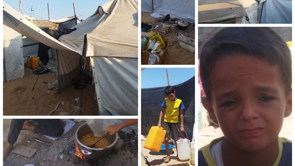 📌 From Stability to Survival , Rana’s Story – A Mother in GazaMy name is Rana , I’m 42 years old , a mother of four boys: Ahmed (15) , Abdul Rahman (14) , Zain Al-Din (13) , and Fouad (10).
