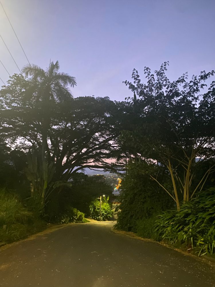 Photograph of a treelined street overlooking the city lights and mountains south of Cairns. 
The sky has the purple hue of predawn.  