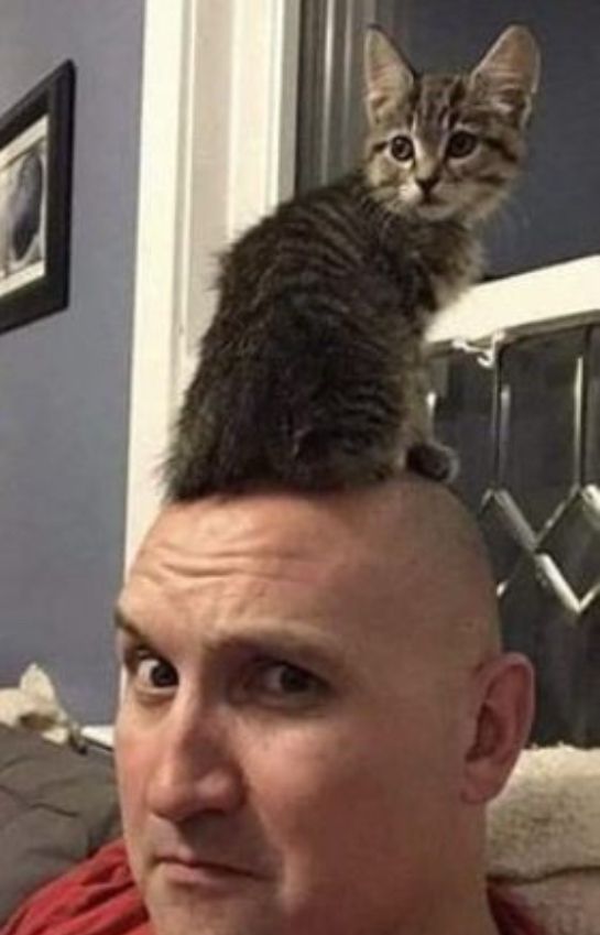 Prrson incorporating a cat into their own unique ‘look’