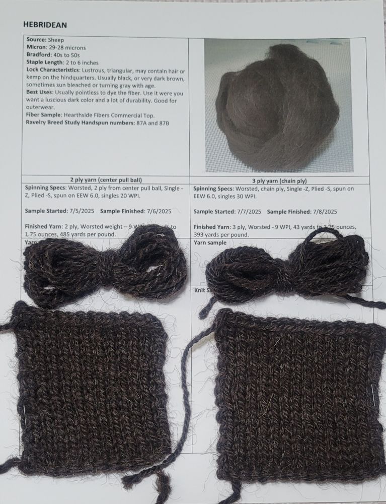 Breed and fiber study card showing information on the Hebridean sheep fiber samples spun with attached yarn samples and knit swatches.

#handspinning #handspinners #yarnspinning #yarn #🧶 #handspun #breedandfiberstudy #HebrideanWool  #TourdeFleece2025 