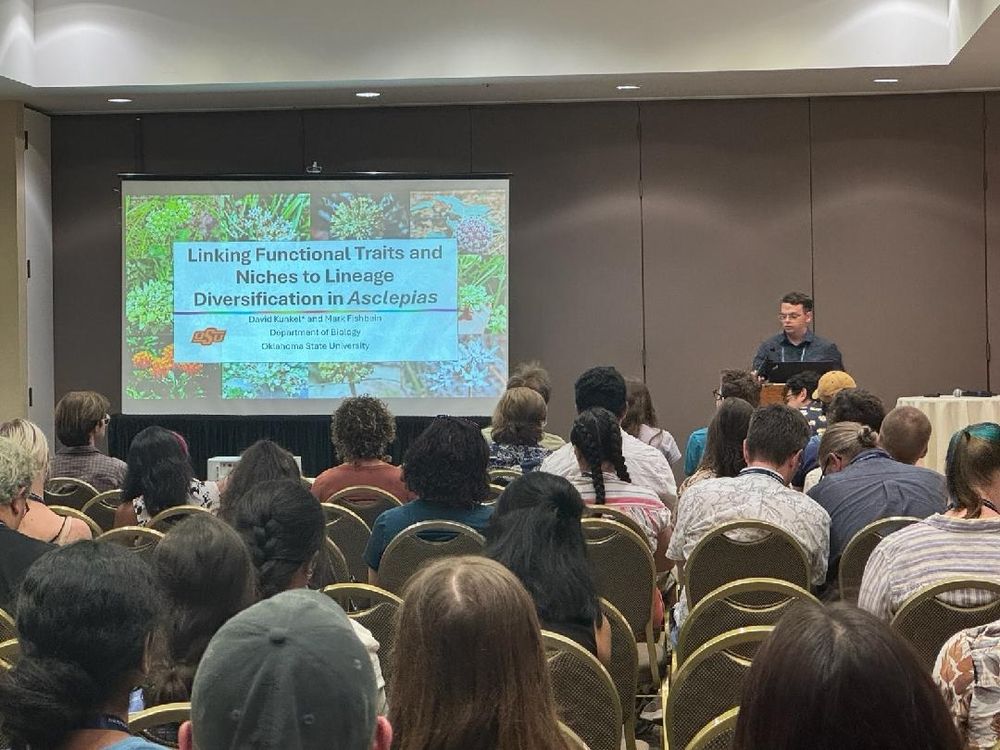 Me standing at a podium in front of a slide that read Linking Functional Traits and Niches to Lineage Diversification in Asclepias.
