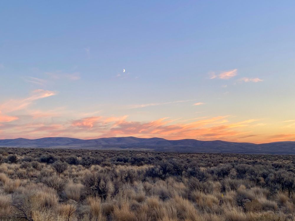 Almost winter sunset 2 years ago, in the shrub steppe of Central Washington.  Quote is from Terry Tempest Williams in Refuge, a very central book in my life.