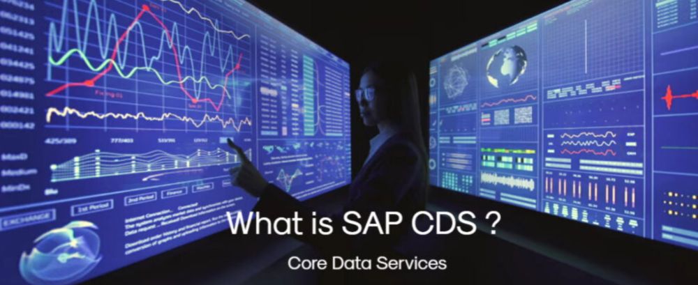 What Are Core Data Services In SAP?