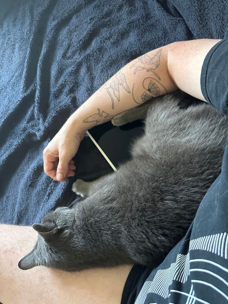 Kater hat sich an meiner Seite hingelegt, sein halber Körper liegt auf bzw. an meinem nackten Bein. 