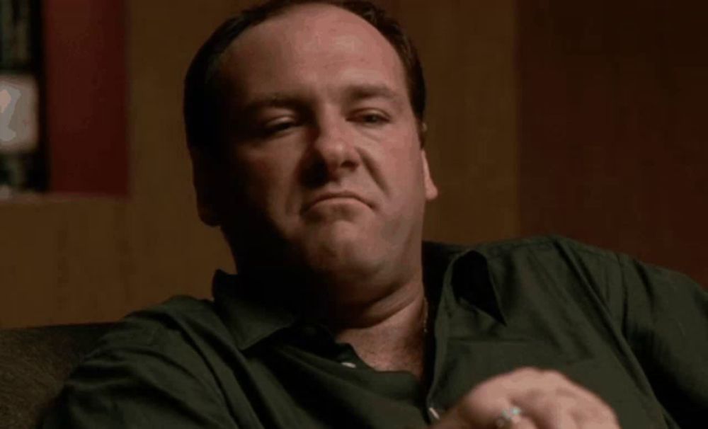 The Sopranos Tony Soprano GIF