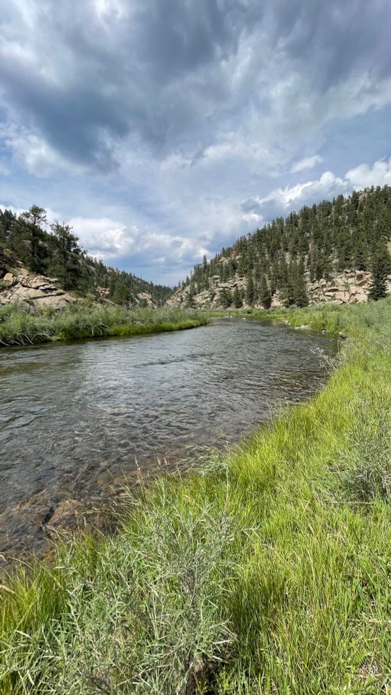 A river runs between rocky, pine tree covered walls at a U shaped bend with grass in the foreground