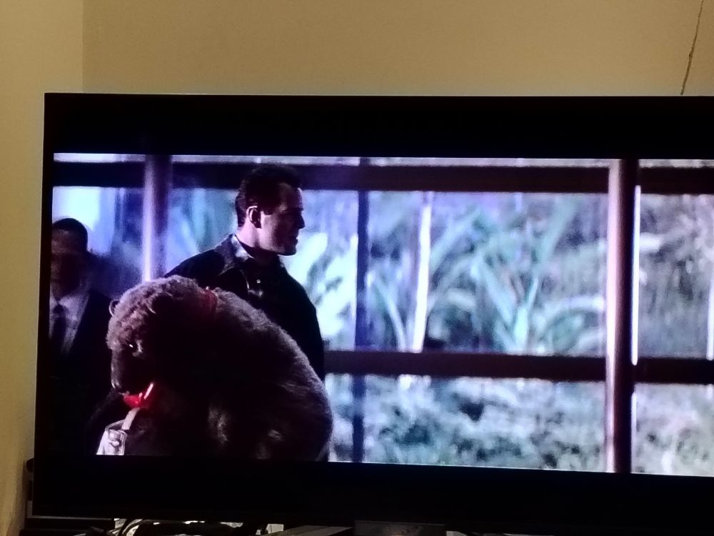 Bruce Willis in Die Hard holding a big teddy bear 