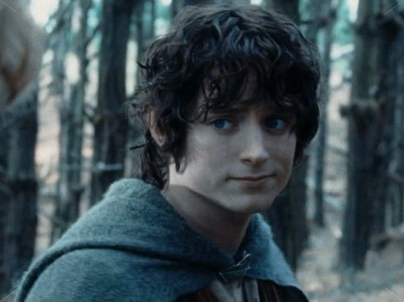 Frodo Baggins