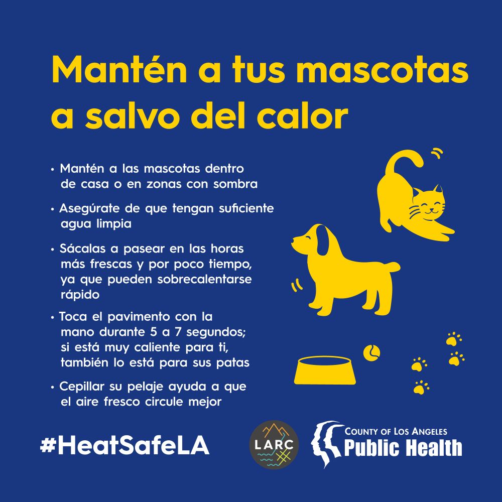 Mantén a tus mascotas a salvo del calor:
• Mantenga a las mascotas adentro o en un área sombreada si están afuera.
• Proporcione mucha agua fresca y limpia.
• Camine durante las horas frescas y sea breve. El cuerpo de tu perro puede calentarse rápidamente.
• Coloque la mano en el suelo durante 5 a 7 segundos antes de pasear a su mascota; si no puede mantener la mano allí, hace demasiado calor para las patas de su mascota.
• Cepillar el pelaje de tu mascota puede permitir que el aire frío circule mejor a través de su pelaje.
#HeatSafeLA
