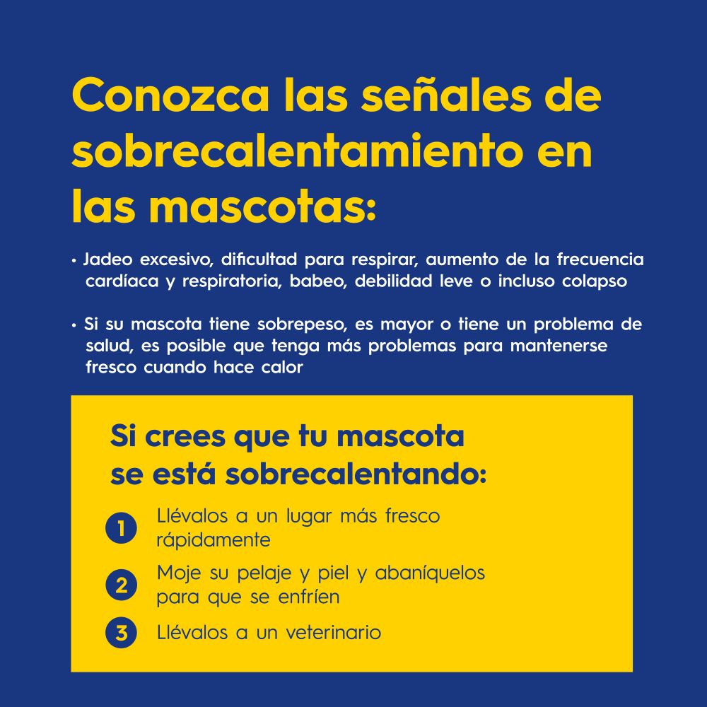 Conozca las señales de sobrecalentamiento en las mascotas:

• Jadeo excesivo, dificultad para respirar, aumento de la frecuencia cardíaca y respiratoria, babeo, debilidad leve o incluso colapso.
• Si su mascota tiene sobrepeso, es mayor o tiene un problema de salud, es posible que tenga más problemas para mantenerse fresco cuando hace calor.

Si crees que tu mascota se está sobrecalentando:

• Llévalos a un lugar más fresco rápidamente
• Moje su pelaje y piel y abaníquelos para que se enfrien
• Llévalos a un veterinario
