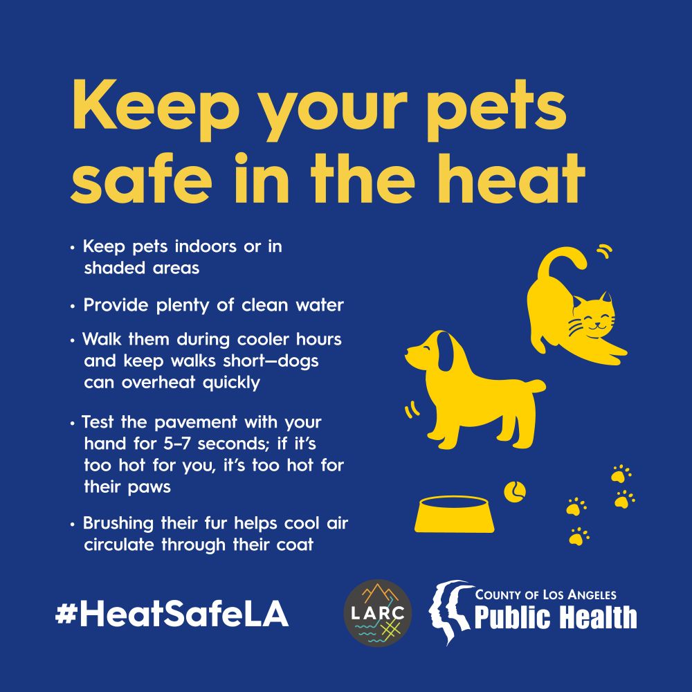 Keep your pets safe in the heat. 

• Keep pets inside or in a shaded area if outside.
• Provide plenty of fresh, clean water.
• Walk during cool hours and keep it short. Your dog's body can heat up quickly.
• Place hand on ground for 5-7 seconds before walking your pet - if you cannot keep your hand there, it's too hot for your pet's paws.
• Brushing your pet's fur can allow cool air to better circulate through their coat.
#HeatSafeLA
