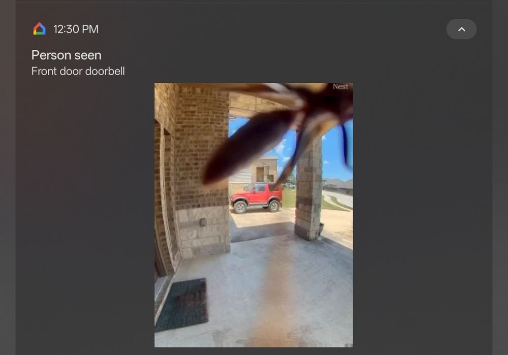 This is a photo from a Nest security camera slash doorbell. The security camera sent a notification to the user's cellphone that a person was seen at the door. But it's not a person! It's a fat mud dauber wasp just chilling on the camera. 