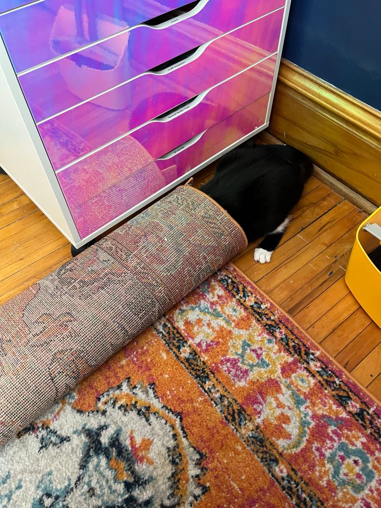 The floor of my office, where a colorful rug lies partially unrolled. Chad the tuxedo cat has shoved himself head-first into the rug roll with only his butt and back foot sticking out.