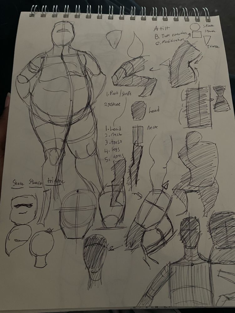 Pen sketches of body shapes and head shapes 