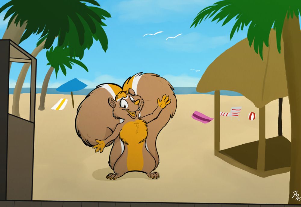 A brown and white squirrel at a beach, he's inviting you to come over and take a load off!!