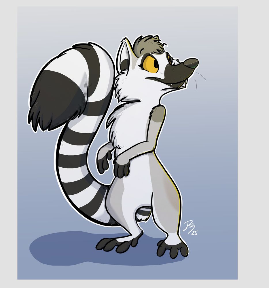 A ringtailed lemur looks at something to the right of her against a blue background.