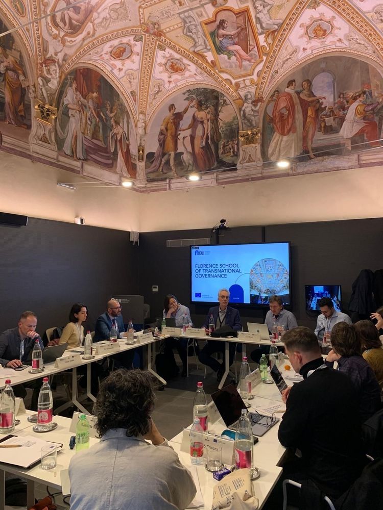 A group of people from the MORES project is seated around a U-shaped conference table in a meeting room at the Florence School of Transnational Governance in Florence, Italy. The participants, some using laptops and taking notes, engage in discussion while a presenter speaks. A large screen displays the institution’s name and logo. The room has a modern design, contrasting with the ornate Renaissance-style frescoed ceiling featuring classical figures and decorative elements. Bottles of water, papers, and name tags are scattered across the table.