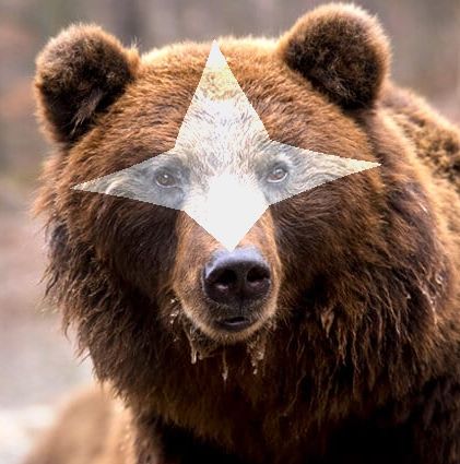 A brown bear with a poorly-edited change to its fur markings.
