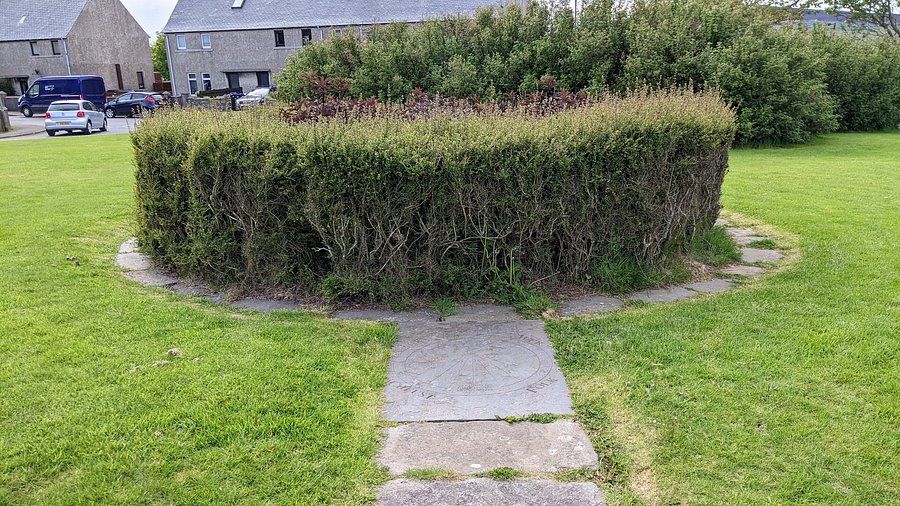 An image of the hedge that surrounds the Orkney Witchcraft Memorial.